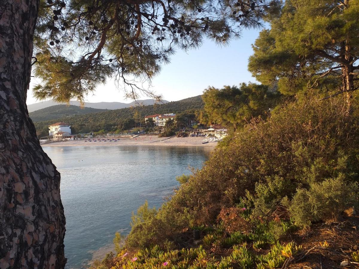 Beach Hotel Kapahi Pefkári Kültér fotó